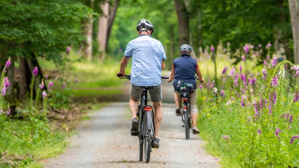 Image of the back of  man in blue shirt riding bike, woman in front of him riding on trail